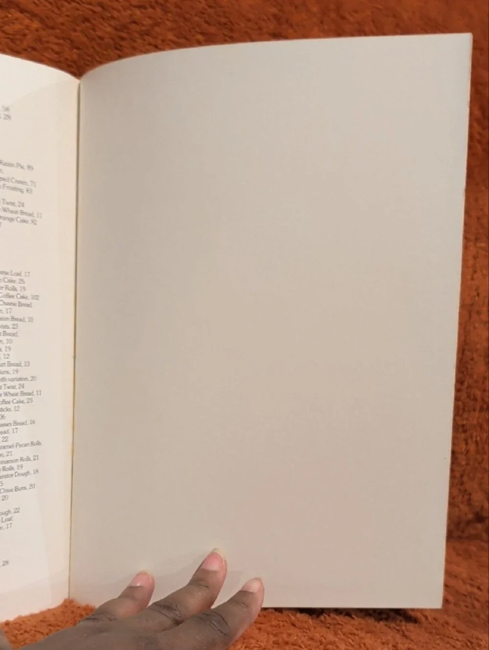 Century Of Success Cookbook ( Copyright 1979 )